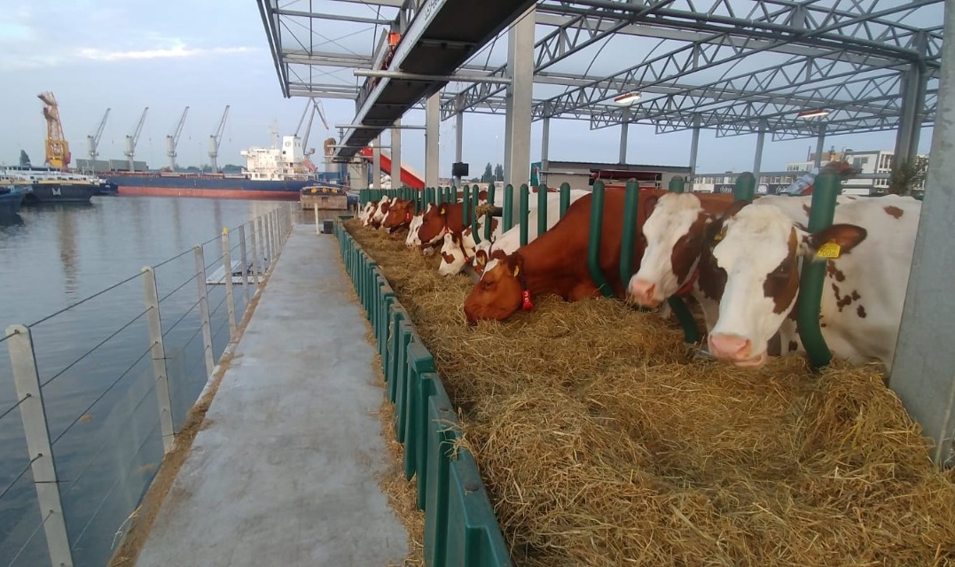 Floating Farm - Case Study - Avery Dennison