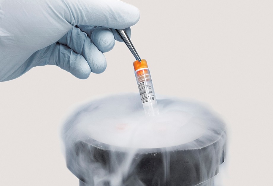 Low Temperature labelling