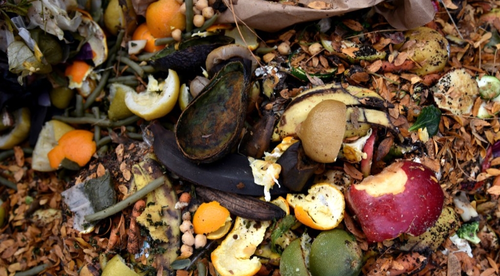 Compostable - Avery Dennison