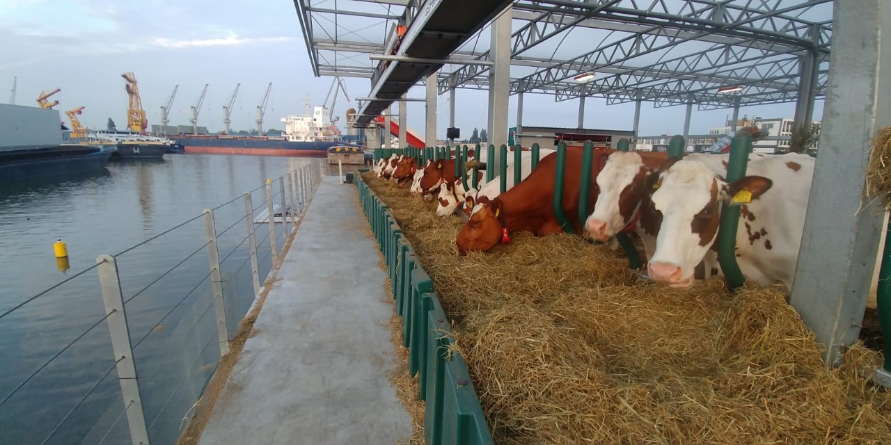 Floating Farm - Avery Dennison