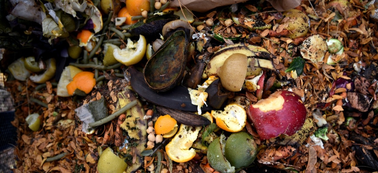 Sustainability - Compost - Avery Dennison