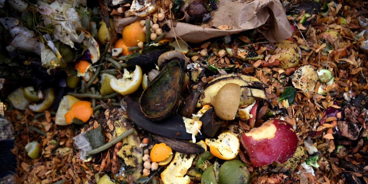 biodegradable - Avery Dennison